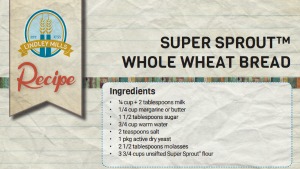Bread SS recipe
